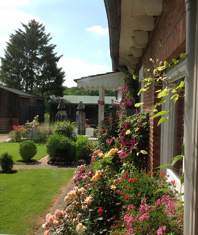 Am Hauseingang / Terrasse